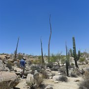 Baja2011 1073 : Baja2011